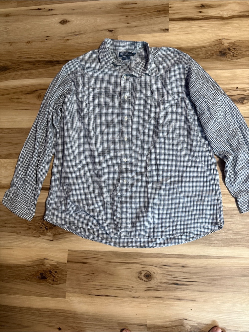 Polo by Ralph Lauren Blue and White Micro-Check Button-Down Shirt